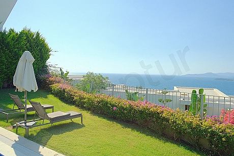 Bodrum'da yer alan lüks villanın özenle düzenlenmiş yeşil bahçesi ve peyzaj alanı.