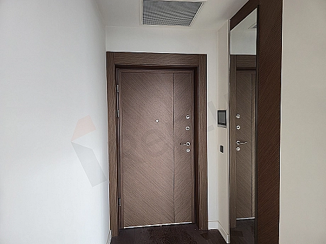 Modern daire giriş kapısı ve holü