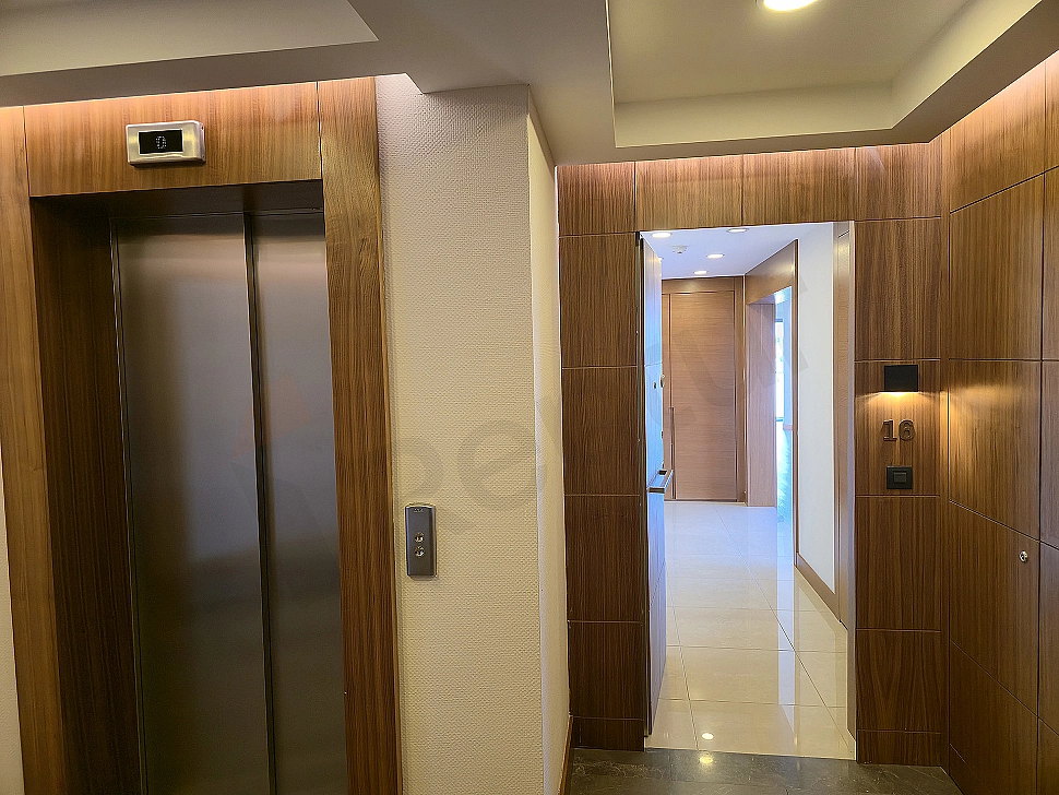 Modern dubleks daire giriş fotoğrafı. Ahşap kapı, aydınlatma ve bitki detayları.