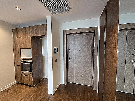 Modern daire giriş holü ve kapısı