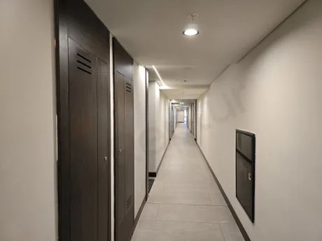Modern ve şık bir binada yer alan, aydınlık ve geniş bir daire koridoru.