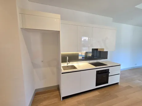 Modern tasarımlı açık plan mutfak, tezgah ve mutfak dolapları.