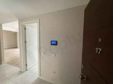 Modern bir binada yer alan şık ve yeni daire giriş kapısı görünümü.