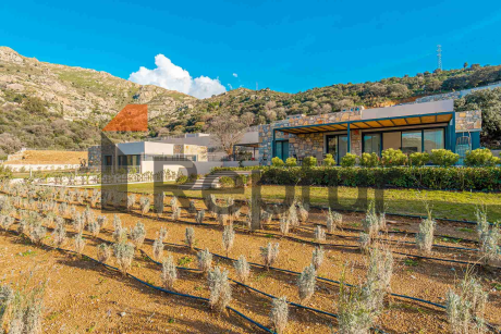 Gümüşlük'te satılık Ege Denizi ve dağ manzaralı 14 lüks villa